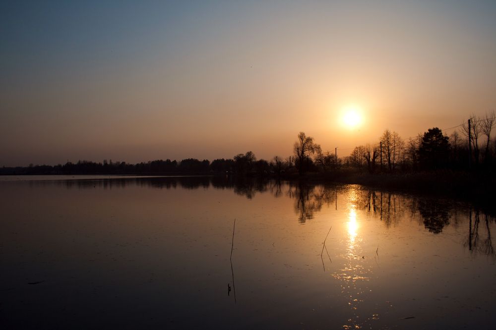 Photograph by Ирина Чуб