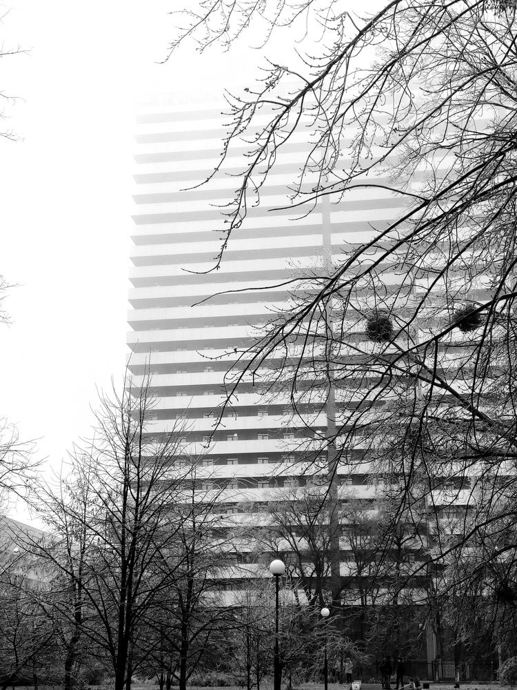 Фотография автора Марина Спильнык