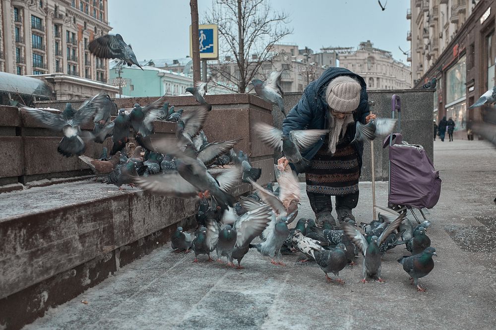 Фотография автора Александр