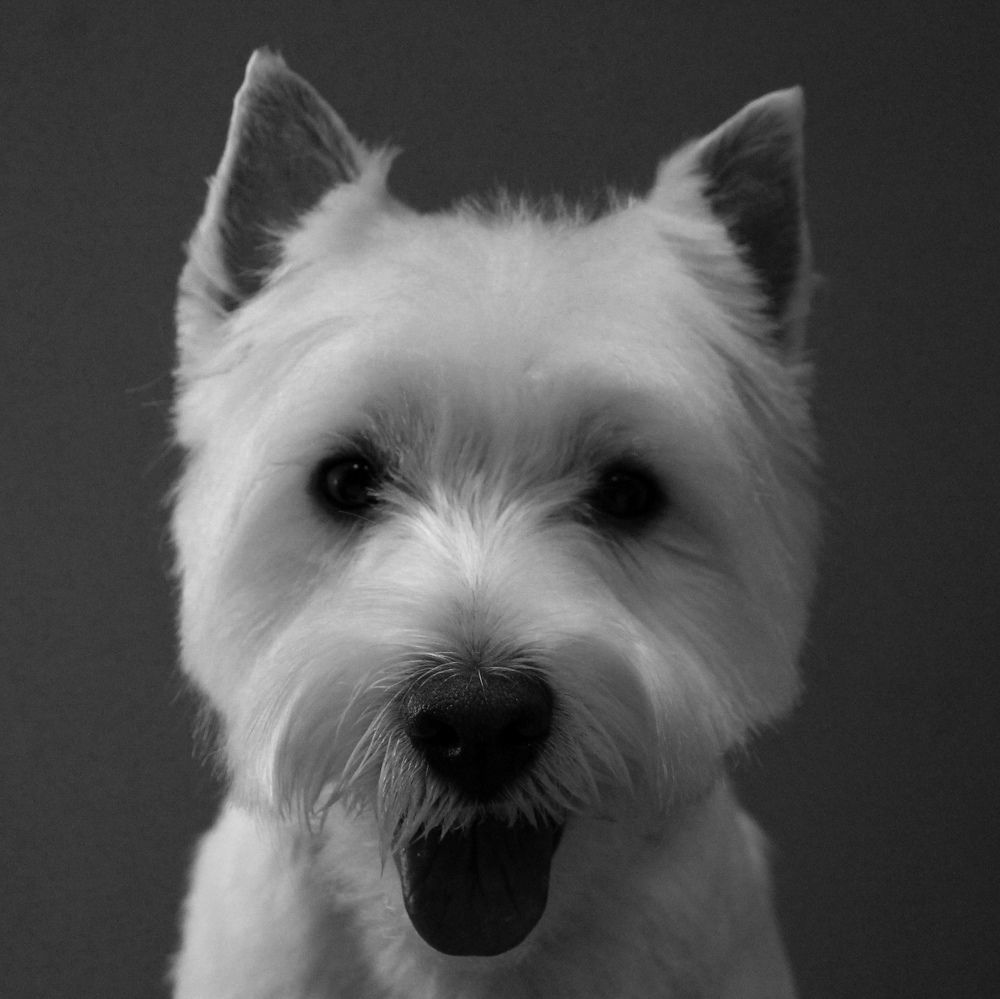 Photograph by Анастасия Копытова