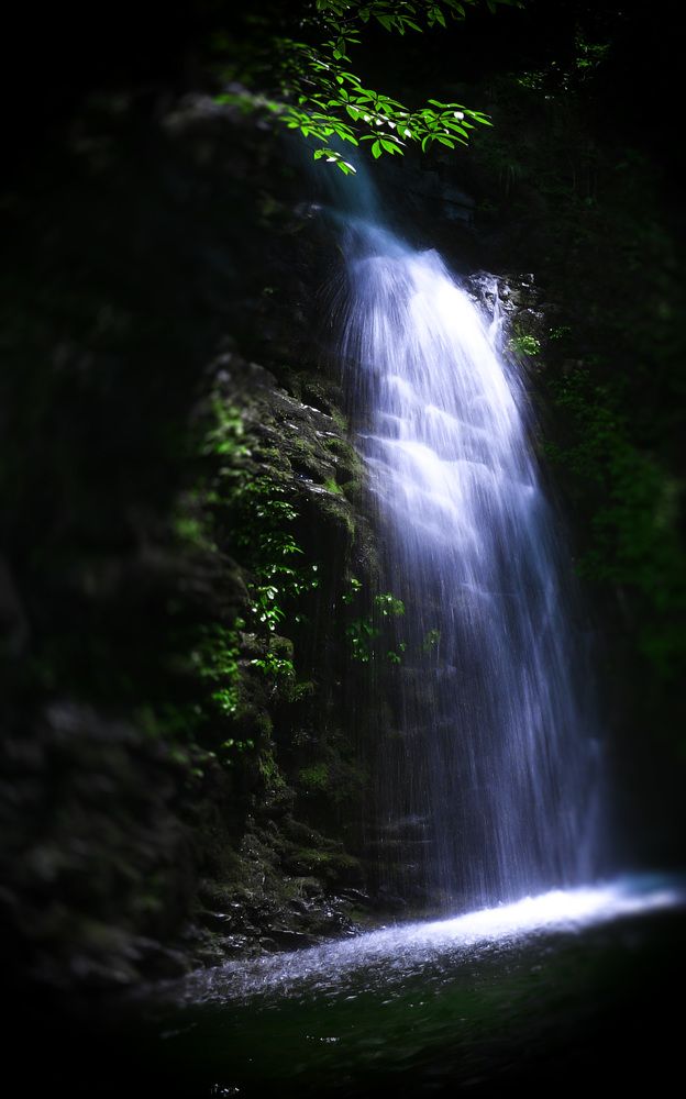 Photograph by Brightman Mitra