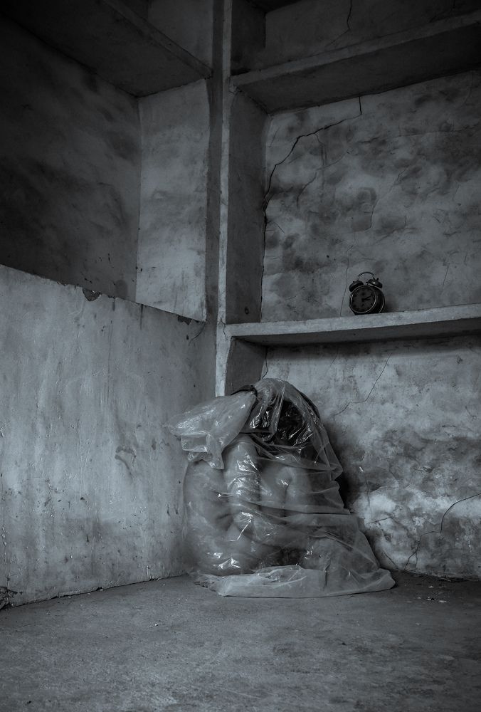 Фотография автора Z Fatemi