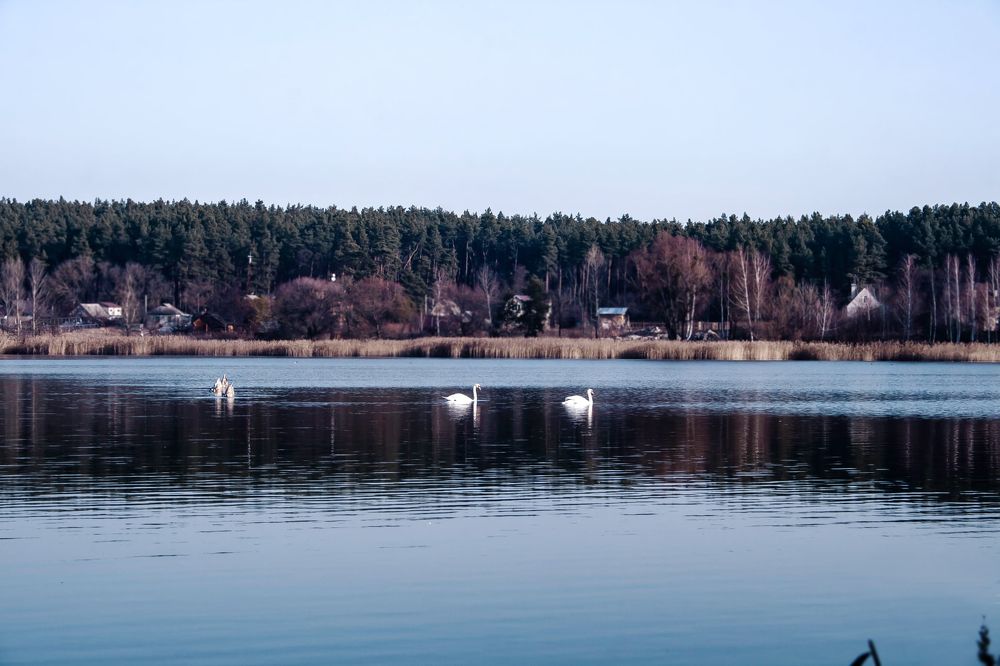 Photograph by Ирина Чуб