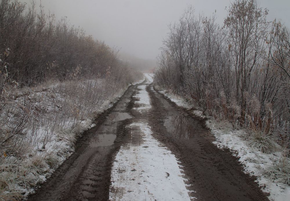 Photograph by Надежда Кузнецова