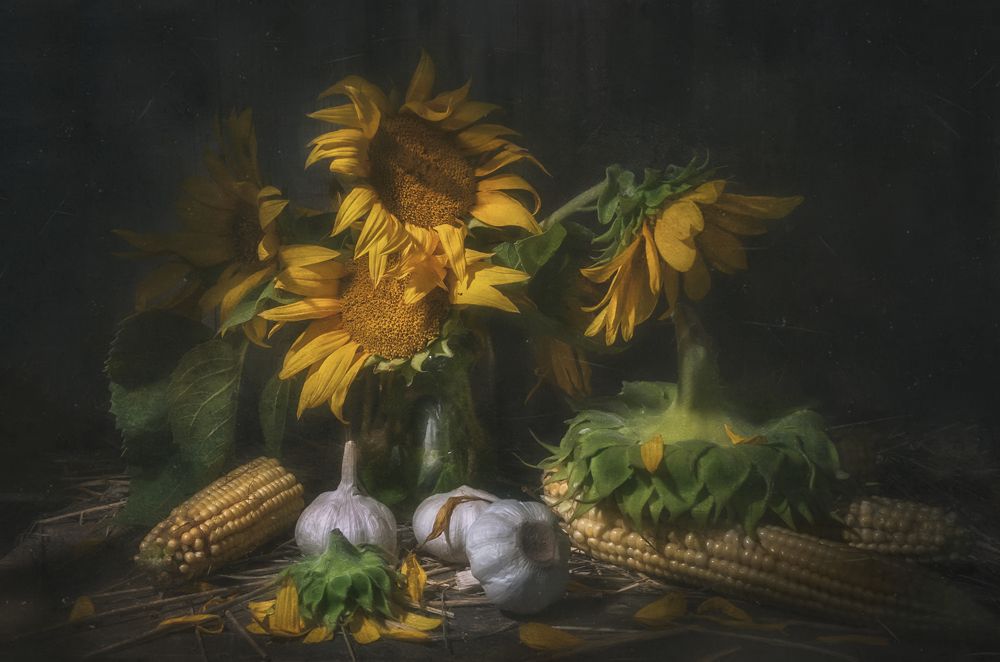 Лохматый Август