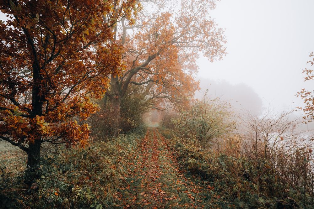 Фотография автора Kristijan Males