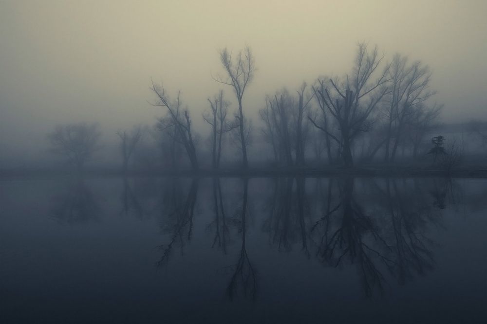 Photograph by Александр Аседач