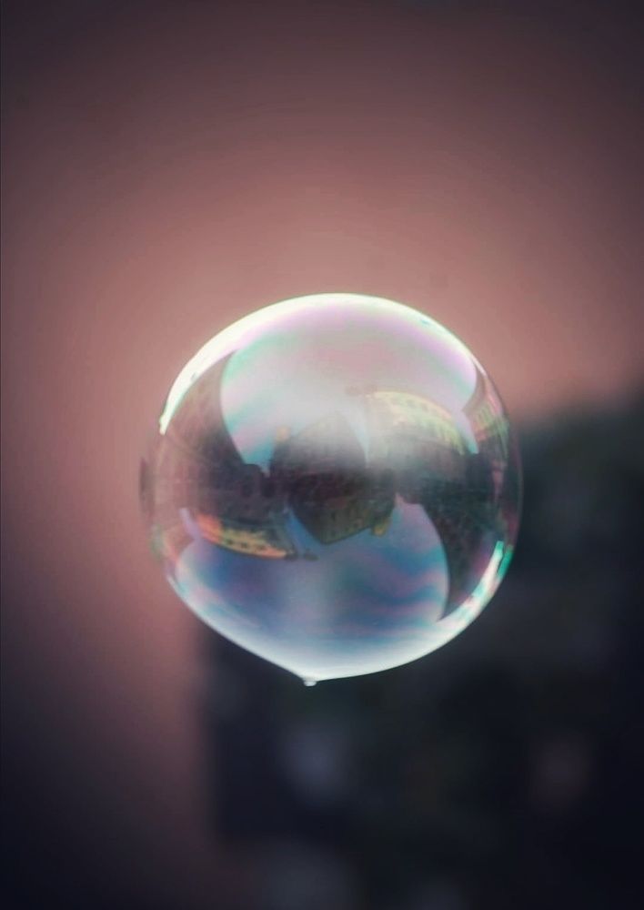 Photograph by Erika Vildak