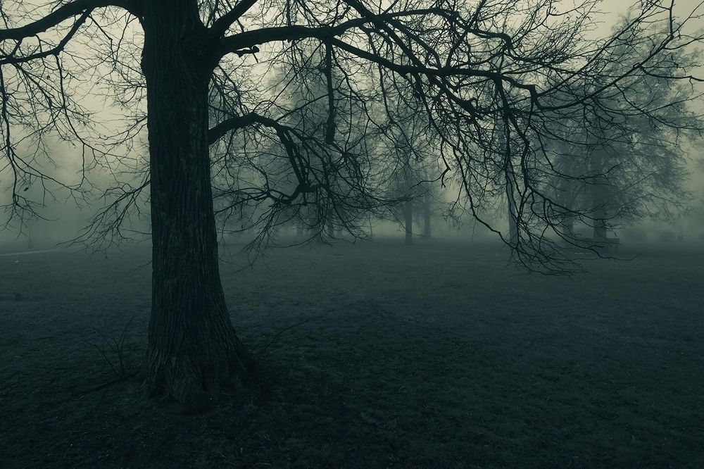 Photograph by Александр Аседач