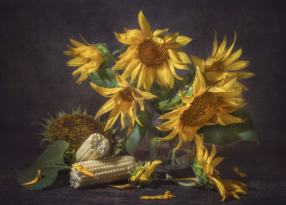 Разлохматились