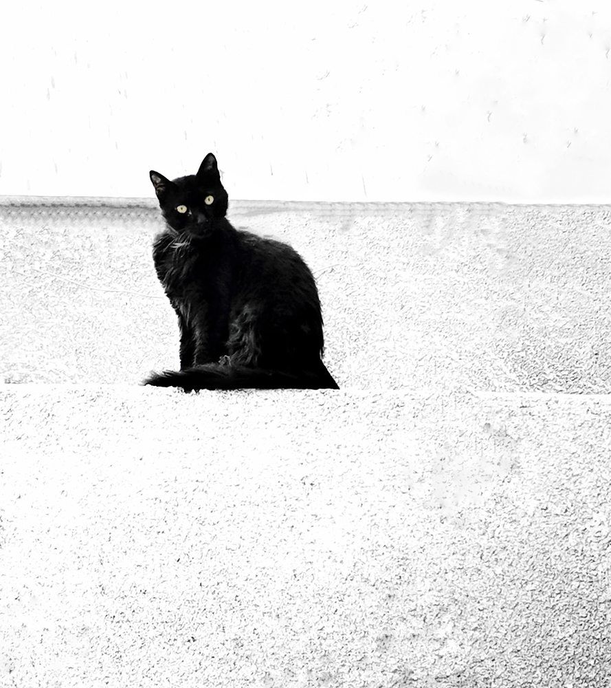 Photograph by Mohamed Aboelsoud