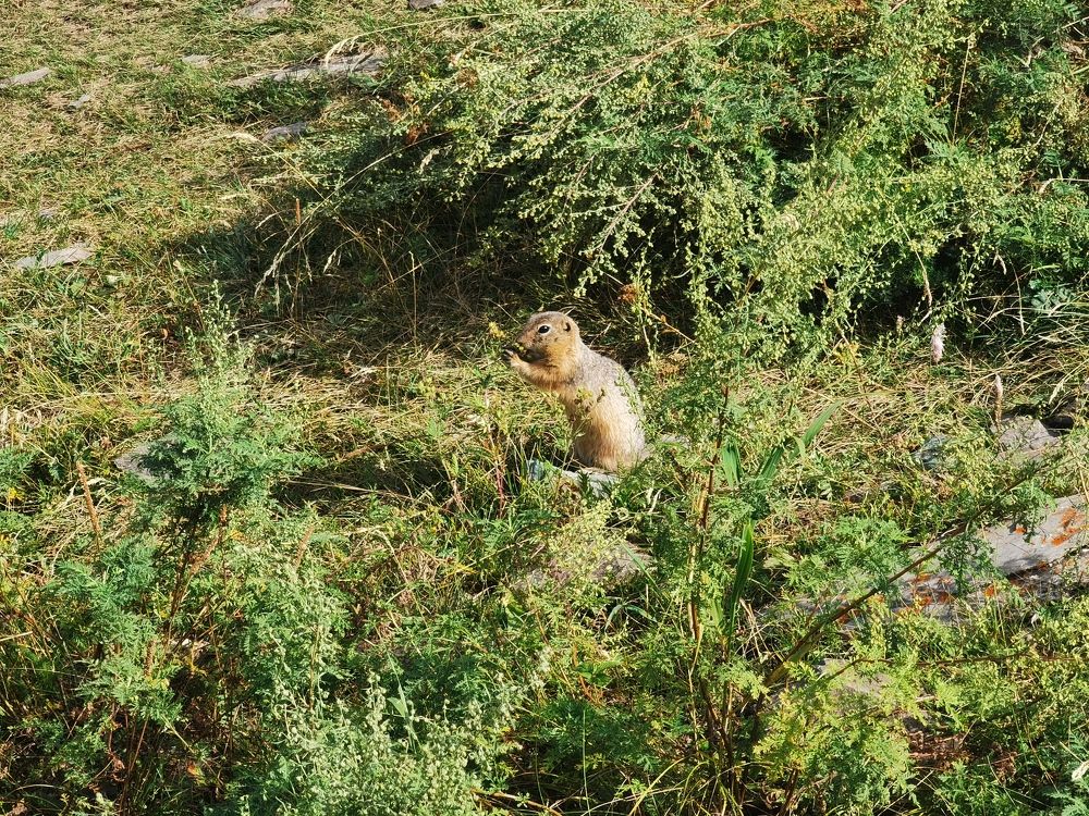 Photograph by Евгений Спиридонов