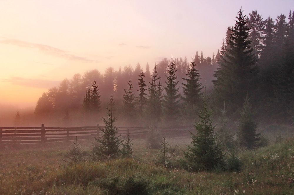 Photograph by Sergei Petrov