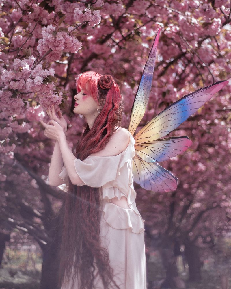 Photograph by Zi Tien