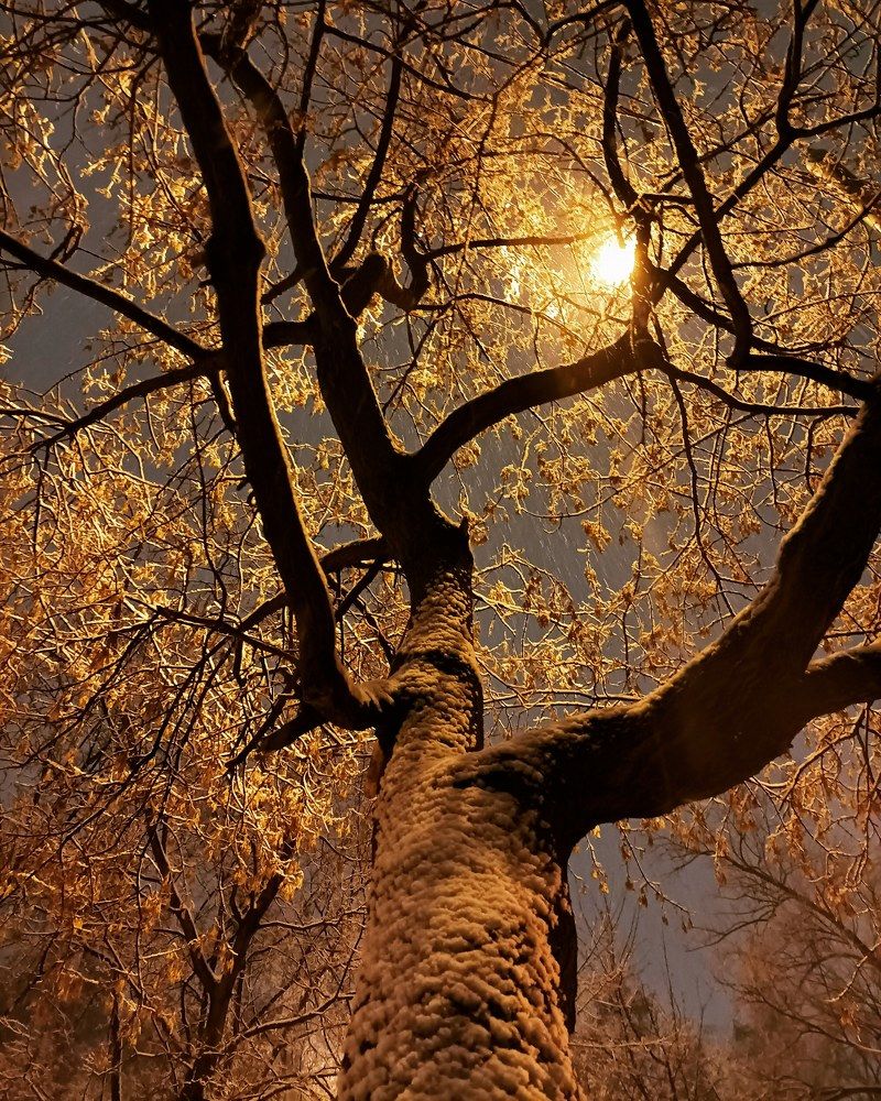 Photograph by Elena Lukashina