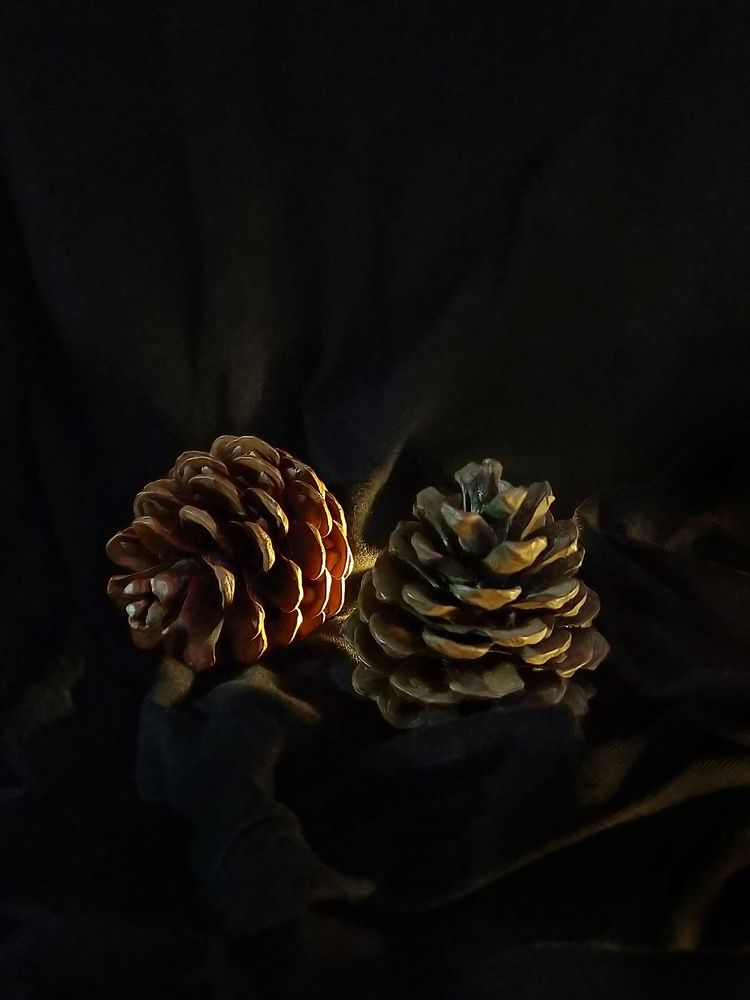 Photograph by Наталья