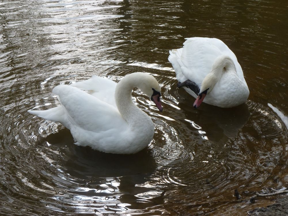 Photograph by Galina Leskova