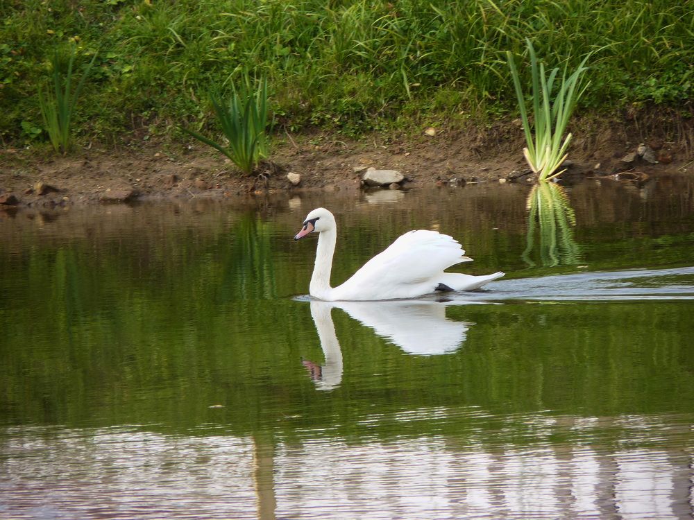 Photograph by Galina Leskova