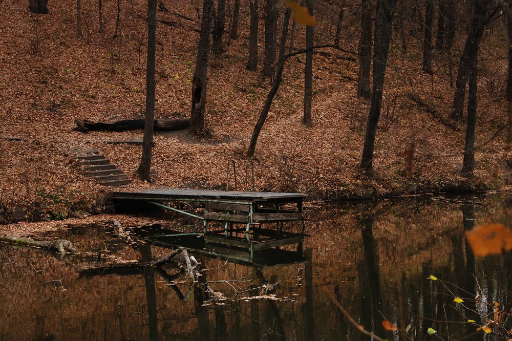 Осень в призрачном лесу