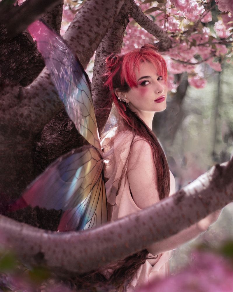 Photograph by Zi Tien