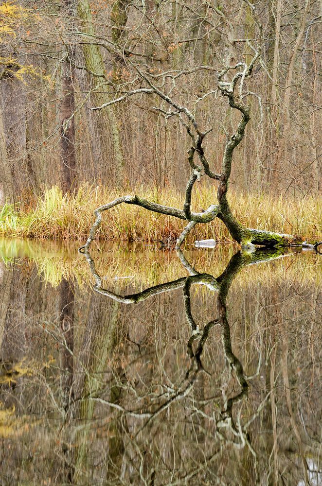 Photograph by Александр Клопков