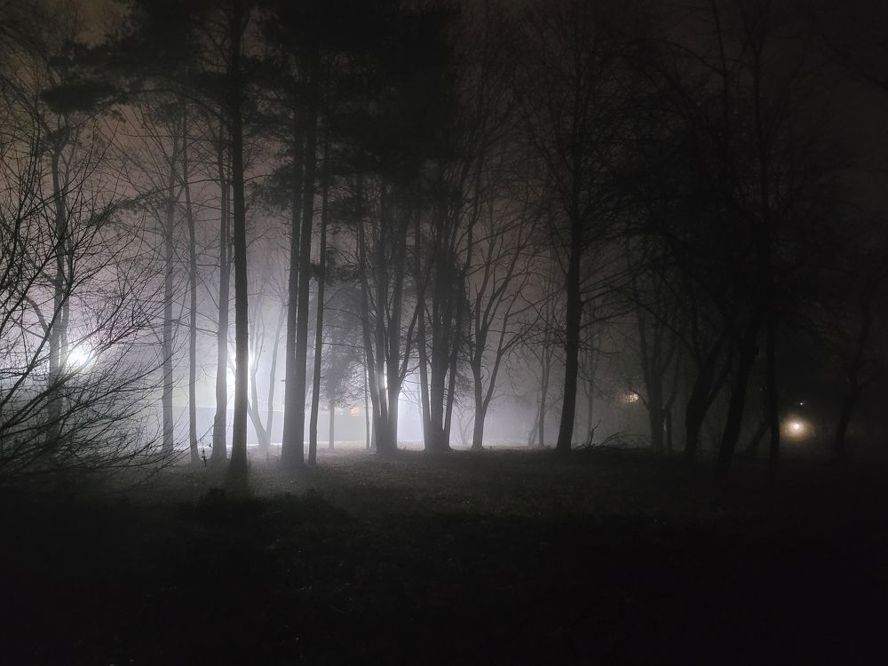 Photograph by Nikka Shvedoff