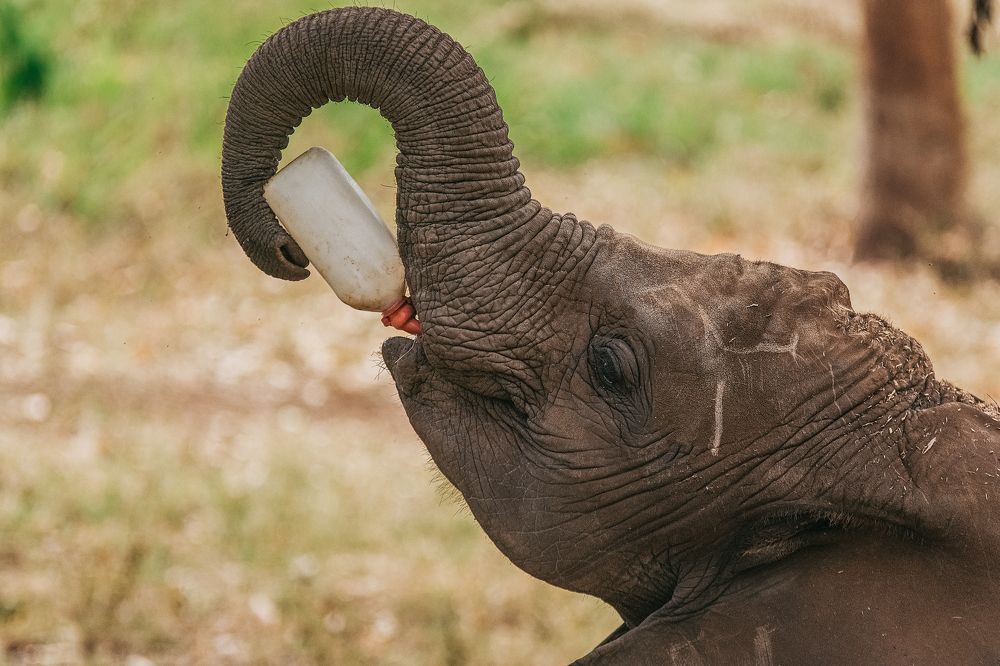 Photograph by Egor Golubkin