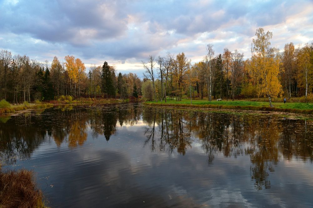 Photograph by Максим Мицун