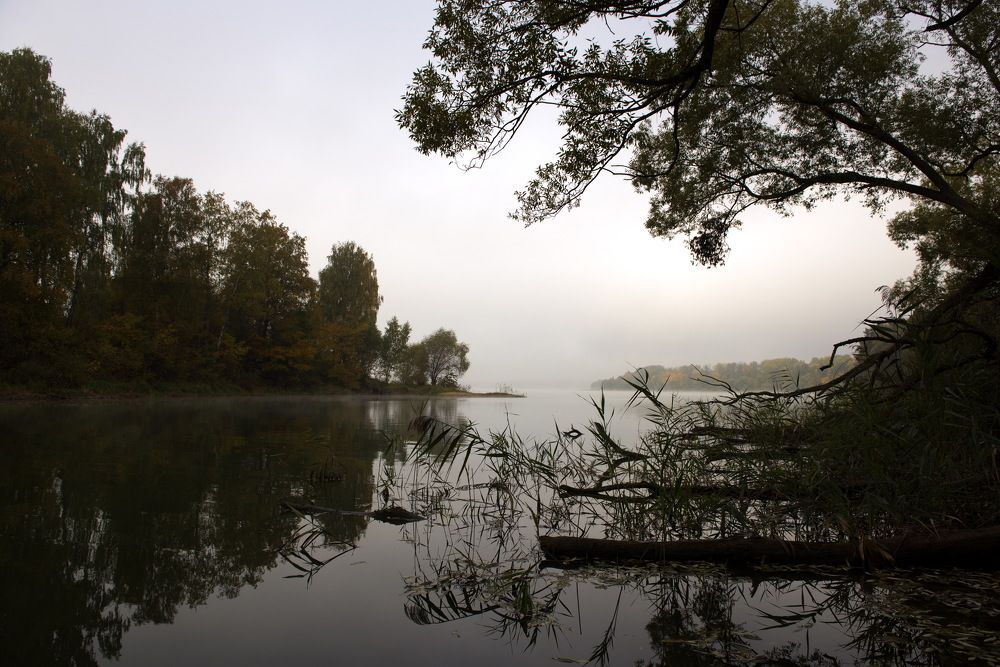 Photograph by Александр Кращук