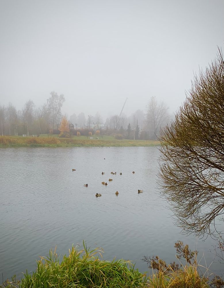 Photograph by Ruben Valesyan