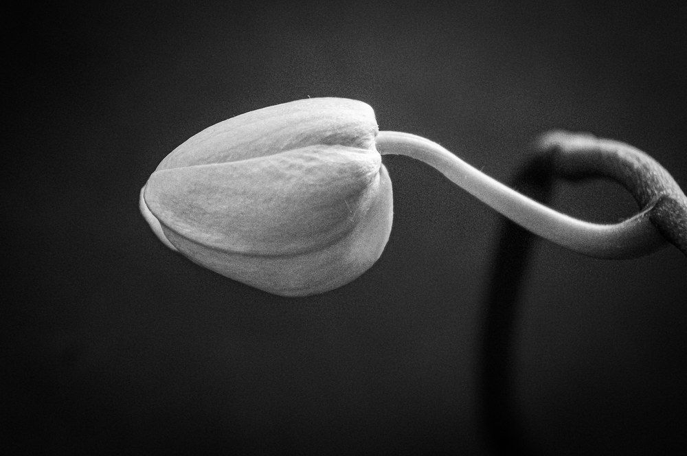 Photograph by Дарья Погонцева