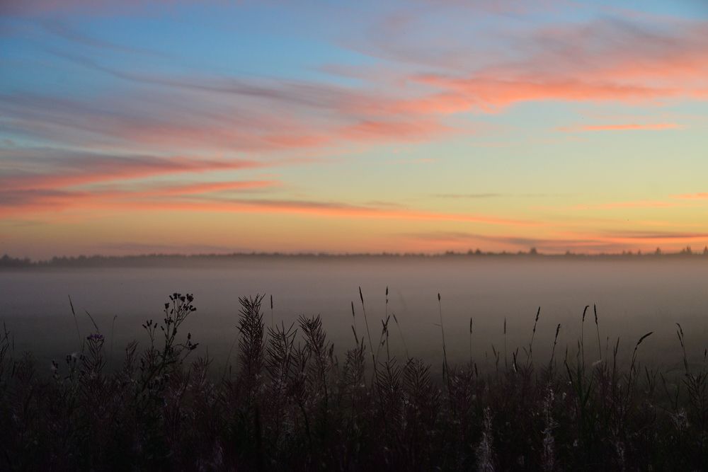 Photograph by Максим Мицун