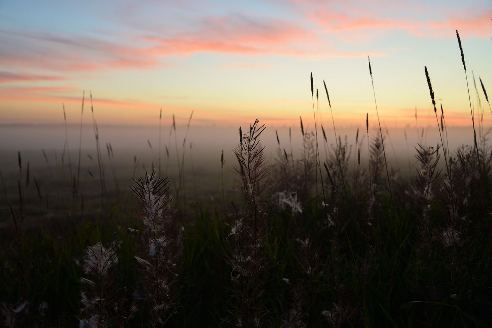 Photograph by Максим Мицун