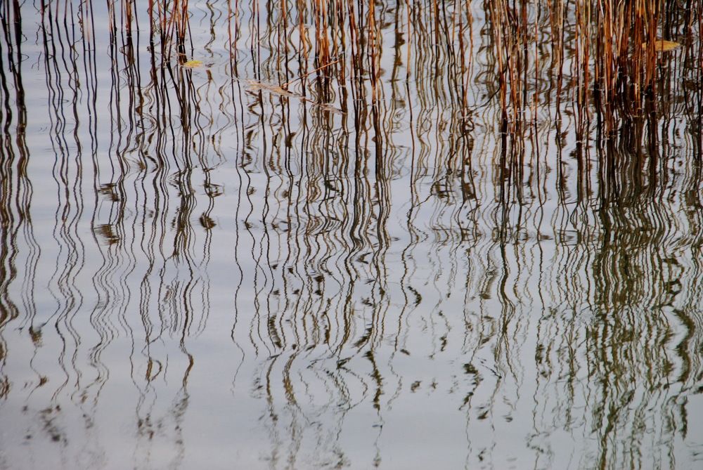 Photograph by Инна Сечко