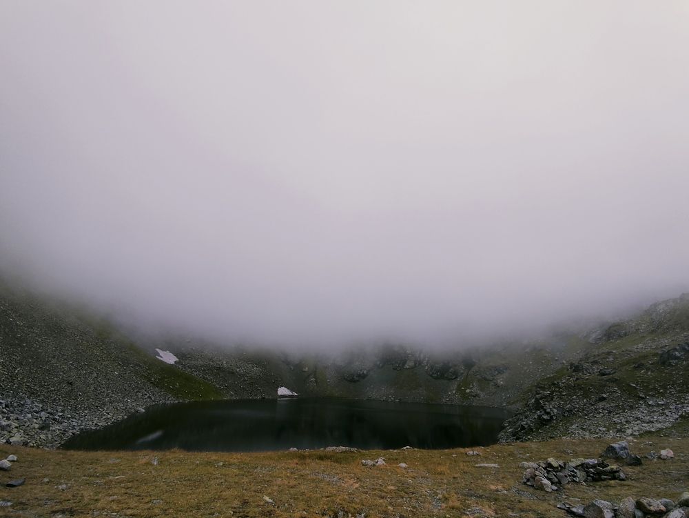 Photo #6851910