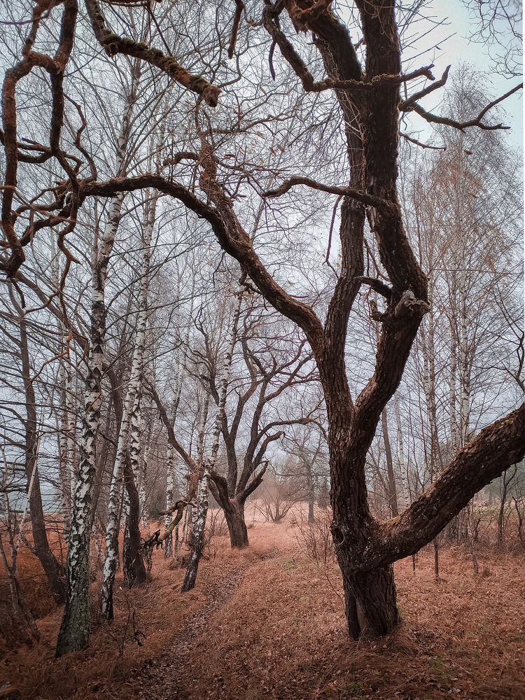 Photograph by Ольга Еженевская