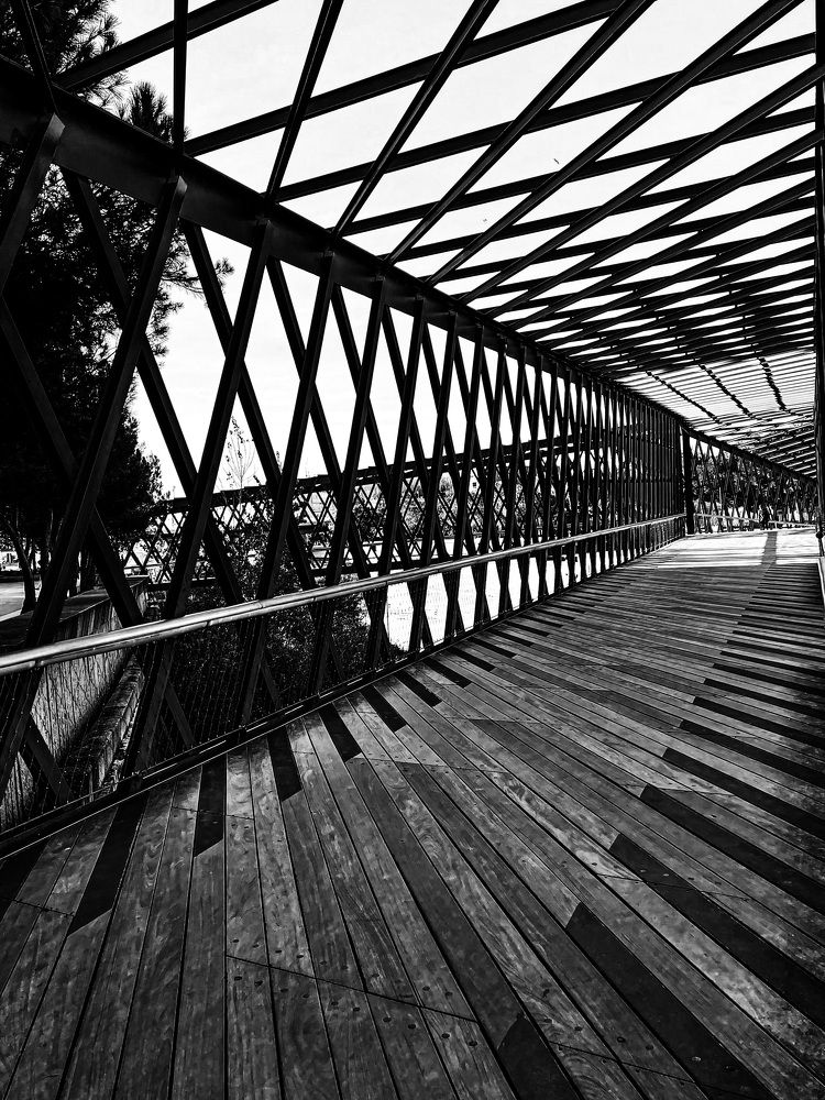 Photograph by Tiago França