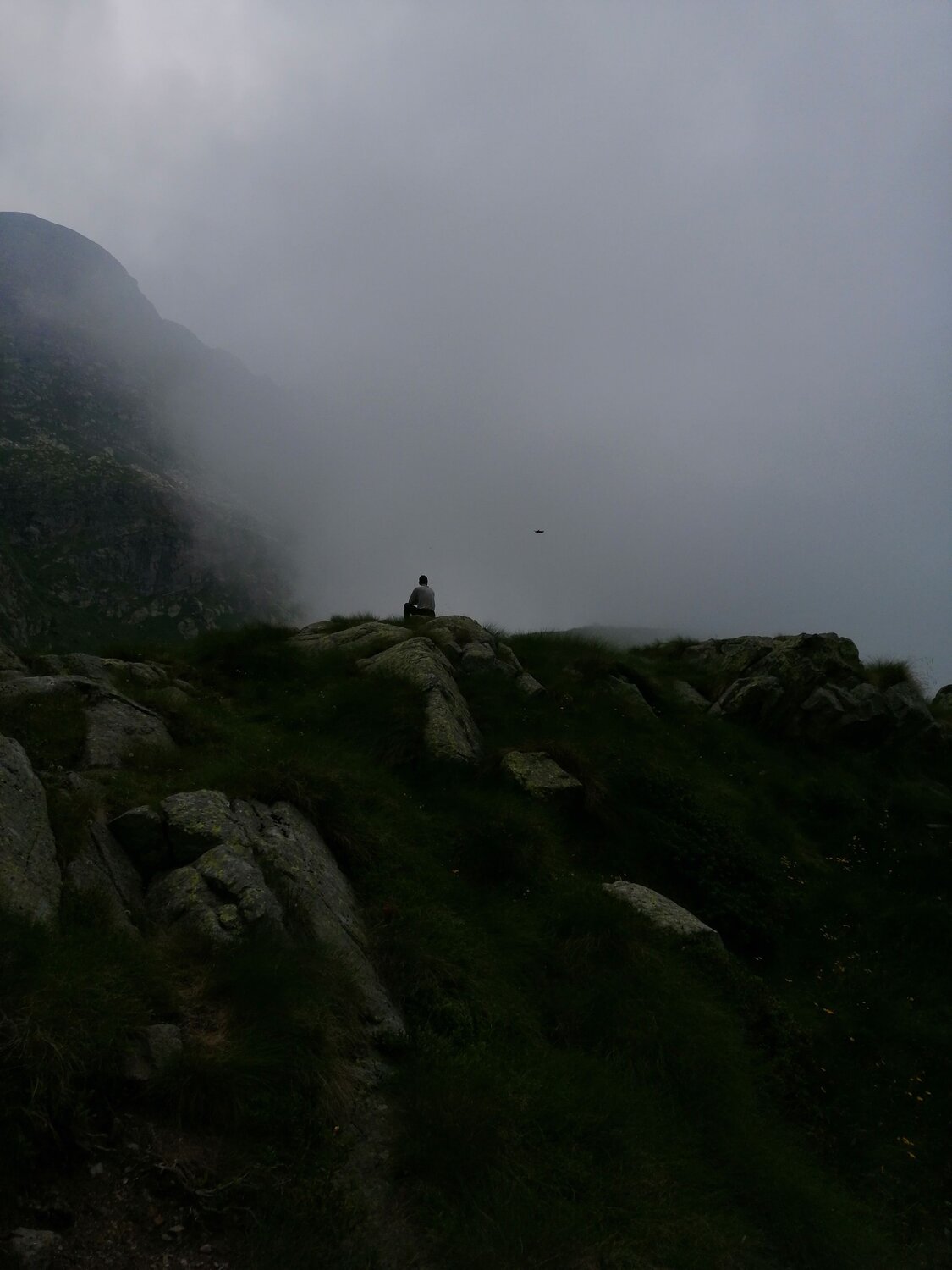 Photo #6852002