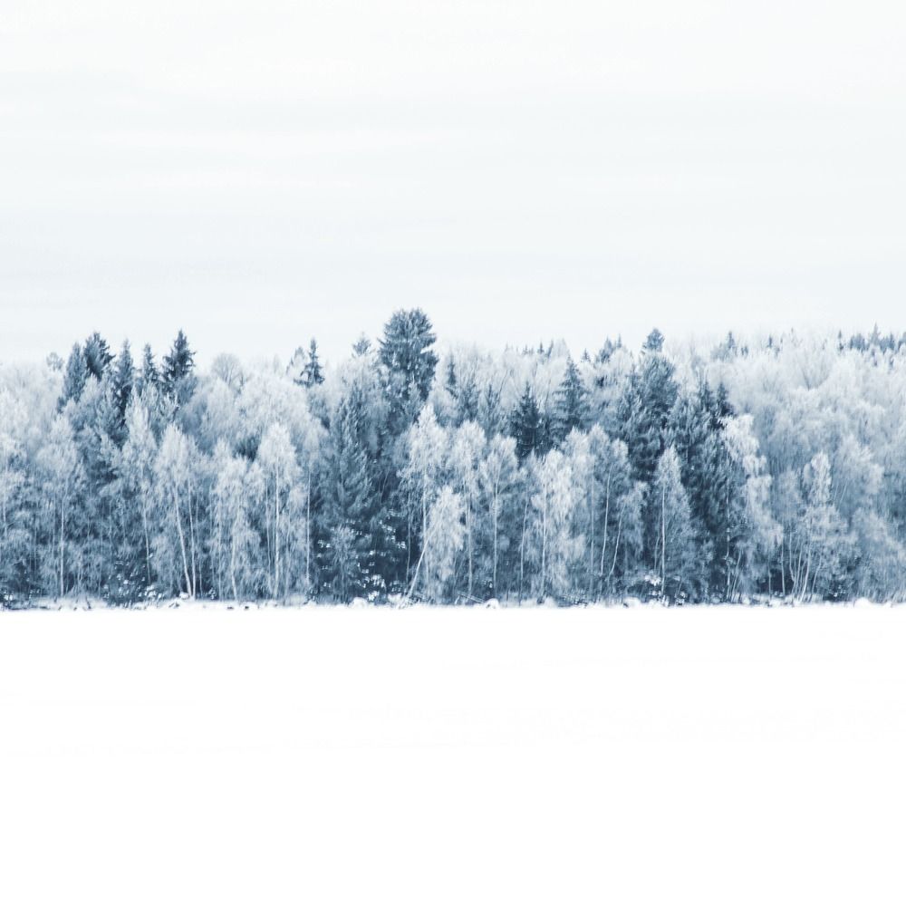 Photograph by Irina Alexeeva