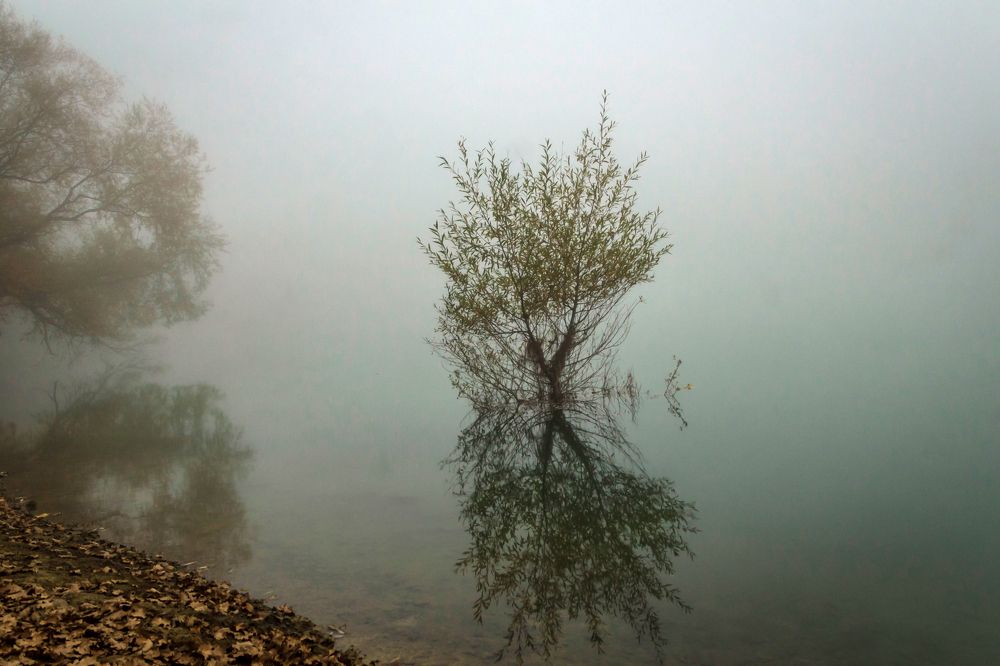 Photograph by Игорь Сидун