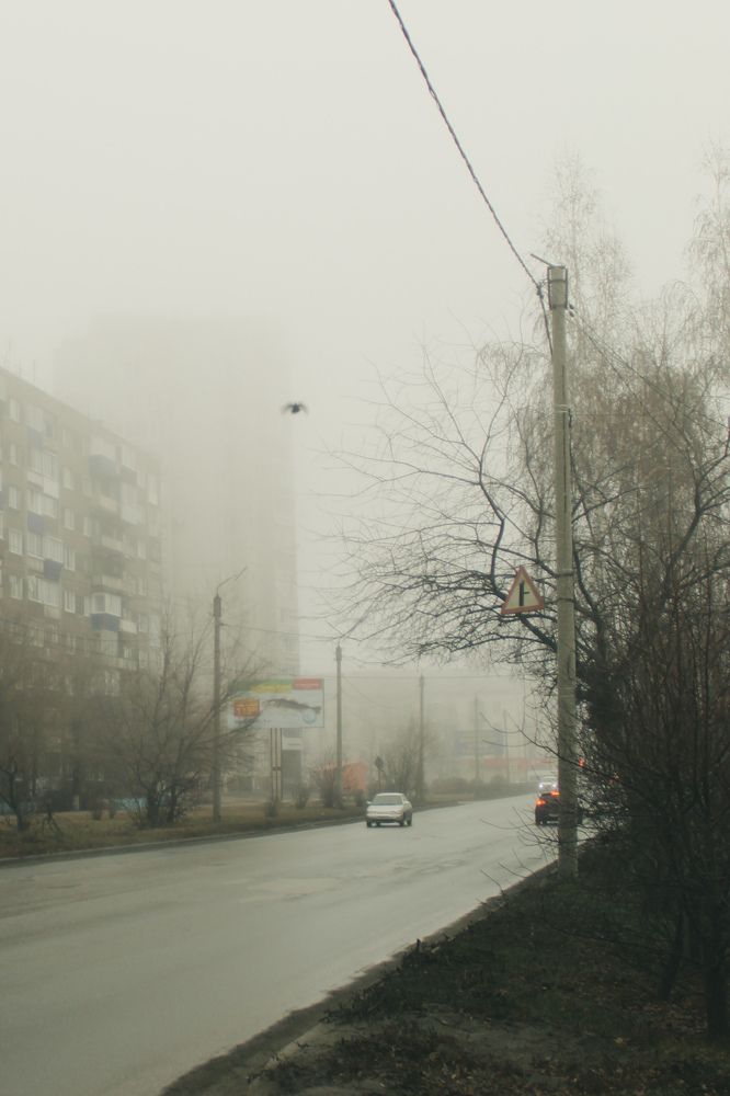 Photograph by Валерий Безбородов