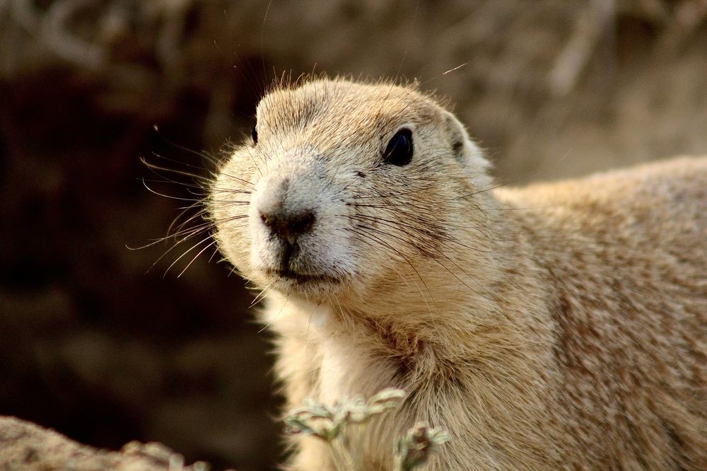 Photograph by Yuliya Trints