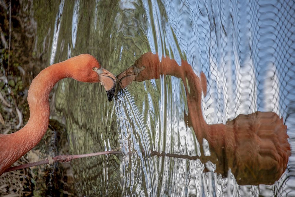 Photograph by Aлена Плясова