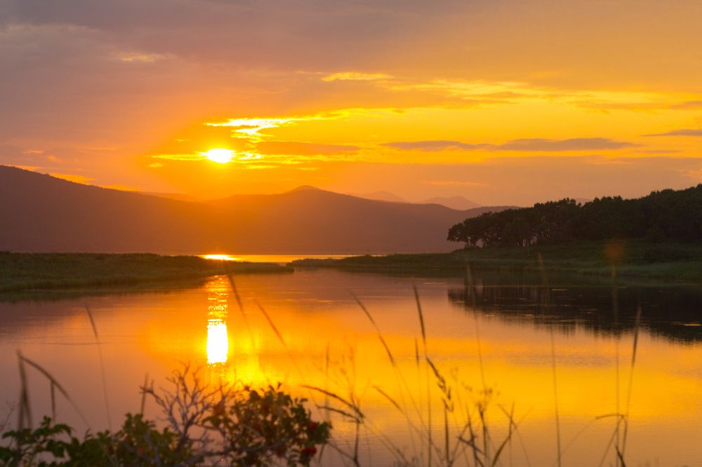 Photograph by Елена Кондратьева