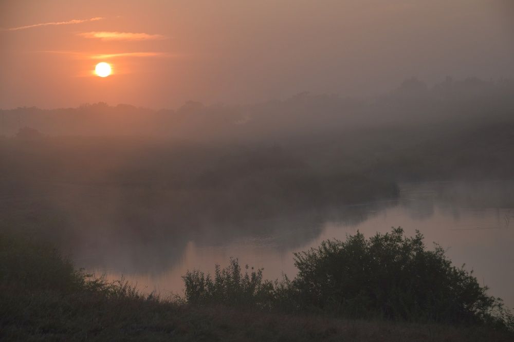 Утренний туман