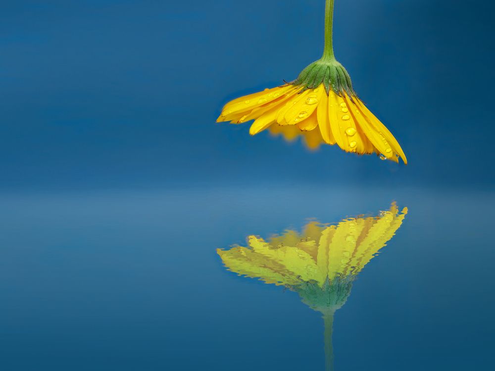 Photograph by Сергей Романченко