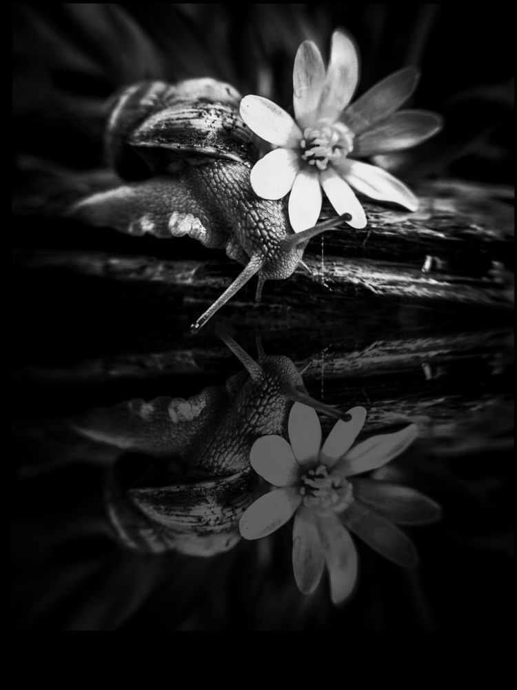 Photograph by Оксана Маракушина