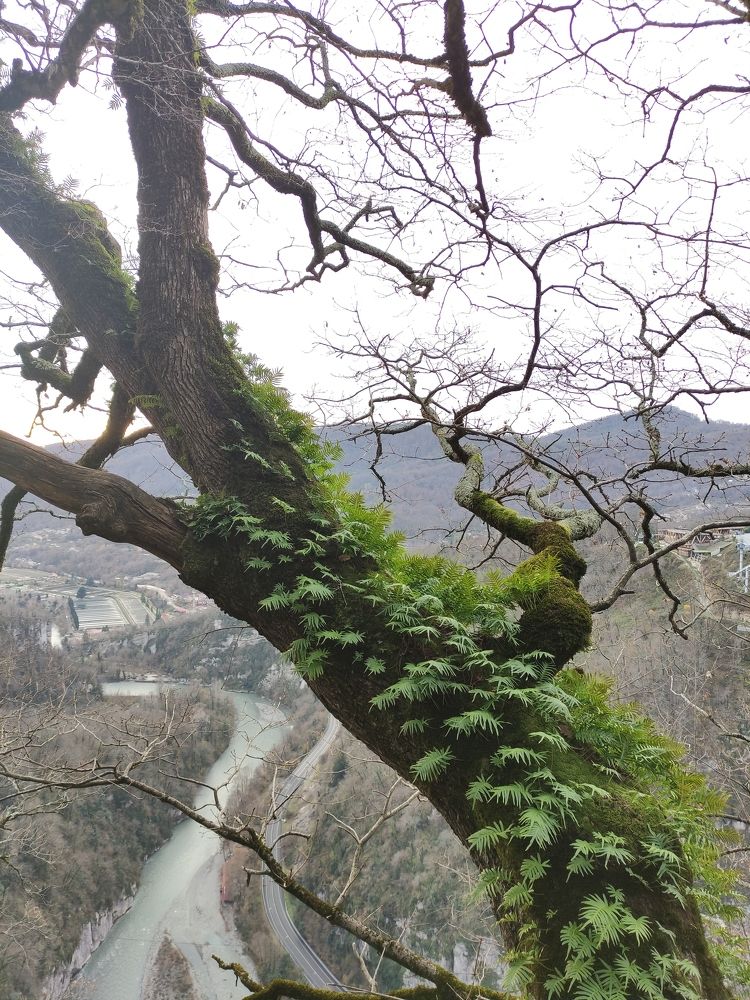 Photograph by Ирина Алексеевская