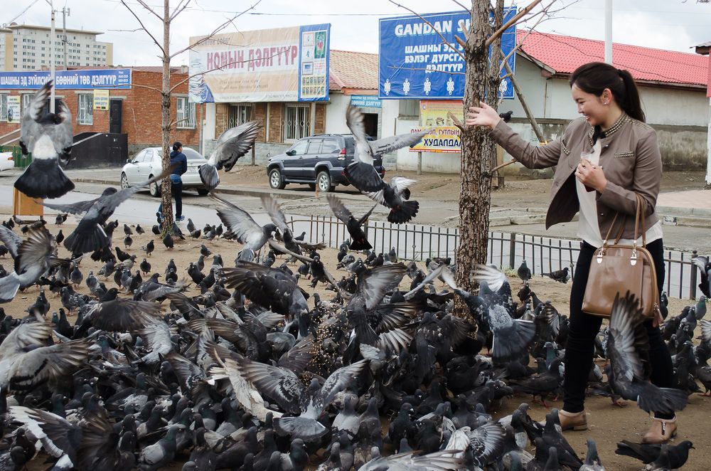 Photograph by Наталья Кокорина