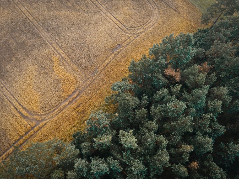 Photograph by Вячеслав Карабаш